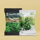 Vegetable & Fruit Seeds