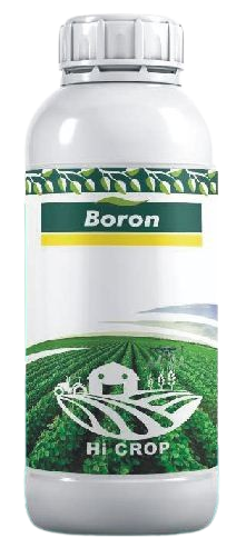 Boron (Liquid) – Hi Crop