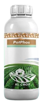 PotPhos-Hi crop