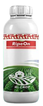 RipeOn-Hi Crop