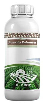 Stomata Enhancer-Hi Crop