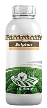 Sulphur-hi Crop